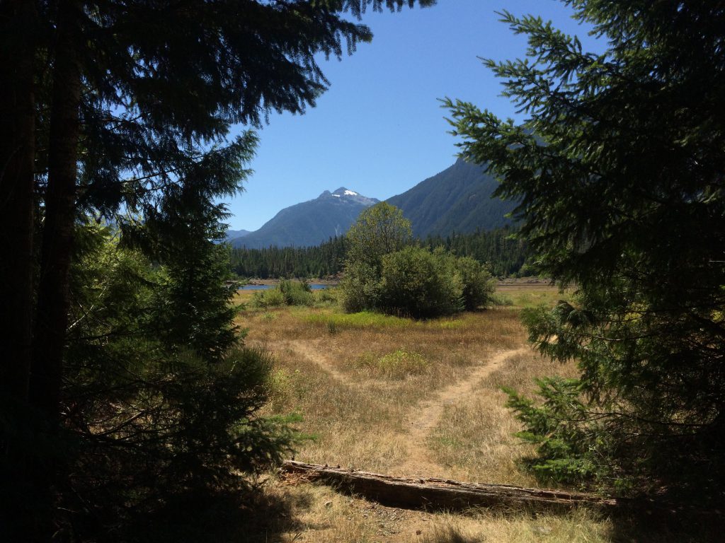 strathcona_pp